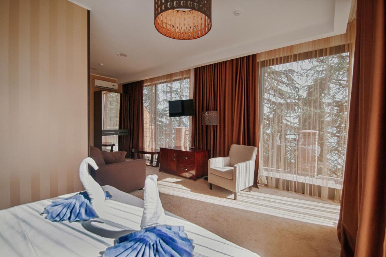 Afon Resort Hotel New Athos Chambre photo